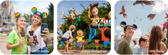 Walt Disney World Resort