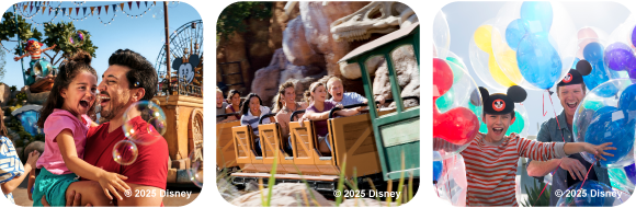 Disneyland Resort California