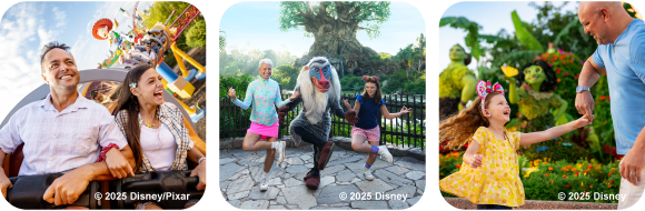 Walt Disney World Resort