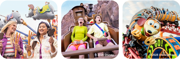 Walt Disney World Resort
