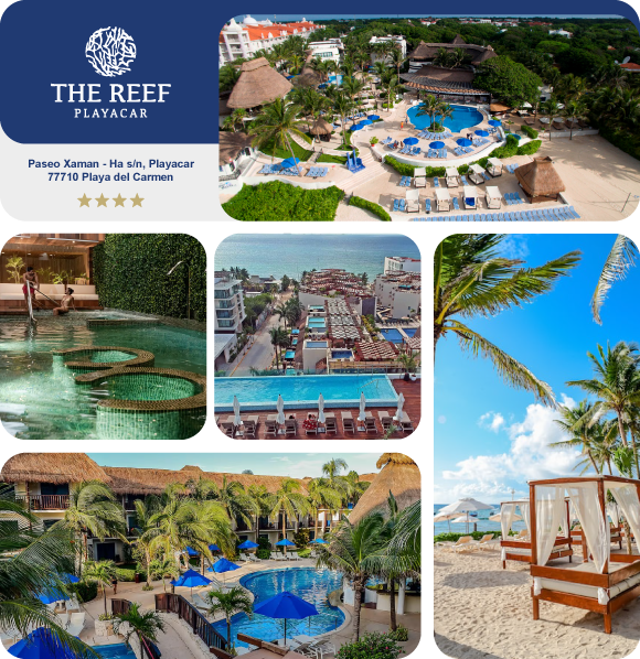 The Reef Playacar