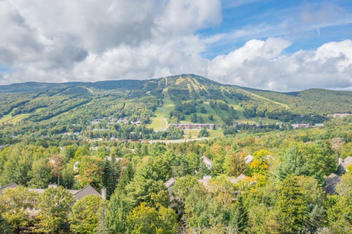 Mount Snow Real Estate and Southern VT Real Estate Deals