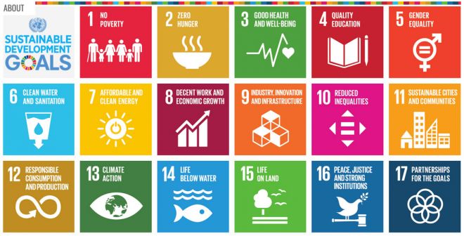 SDGs webinar