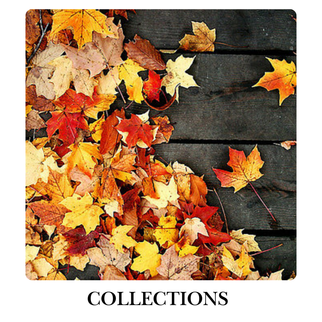 Annual Leaf Collection Program Begins Oct 21st