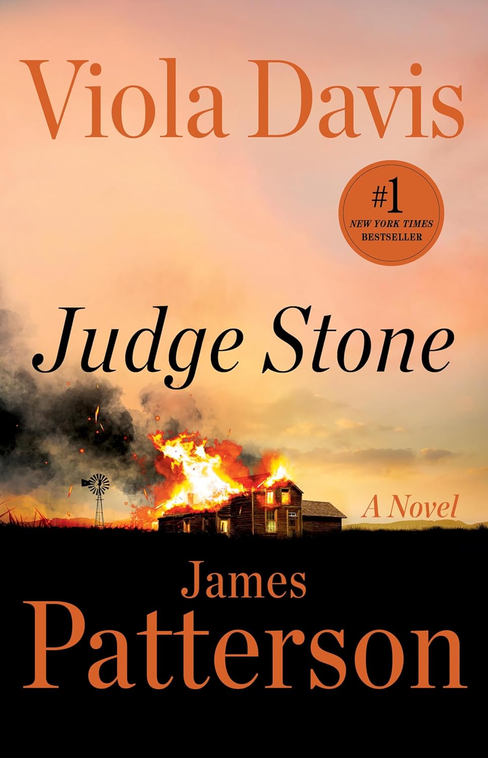 Book Cover - Judge Stone