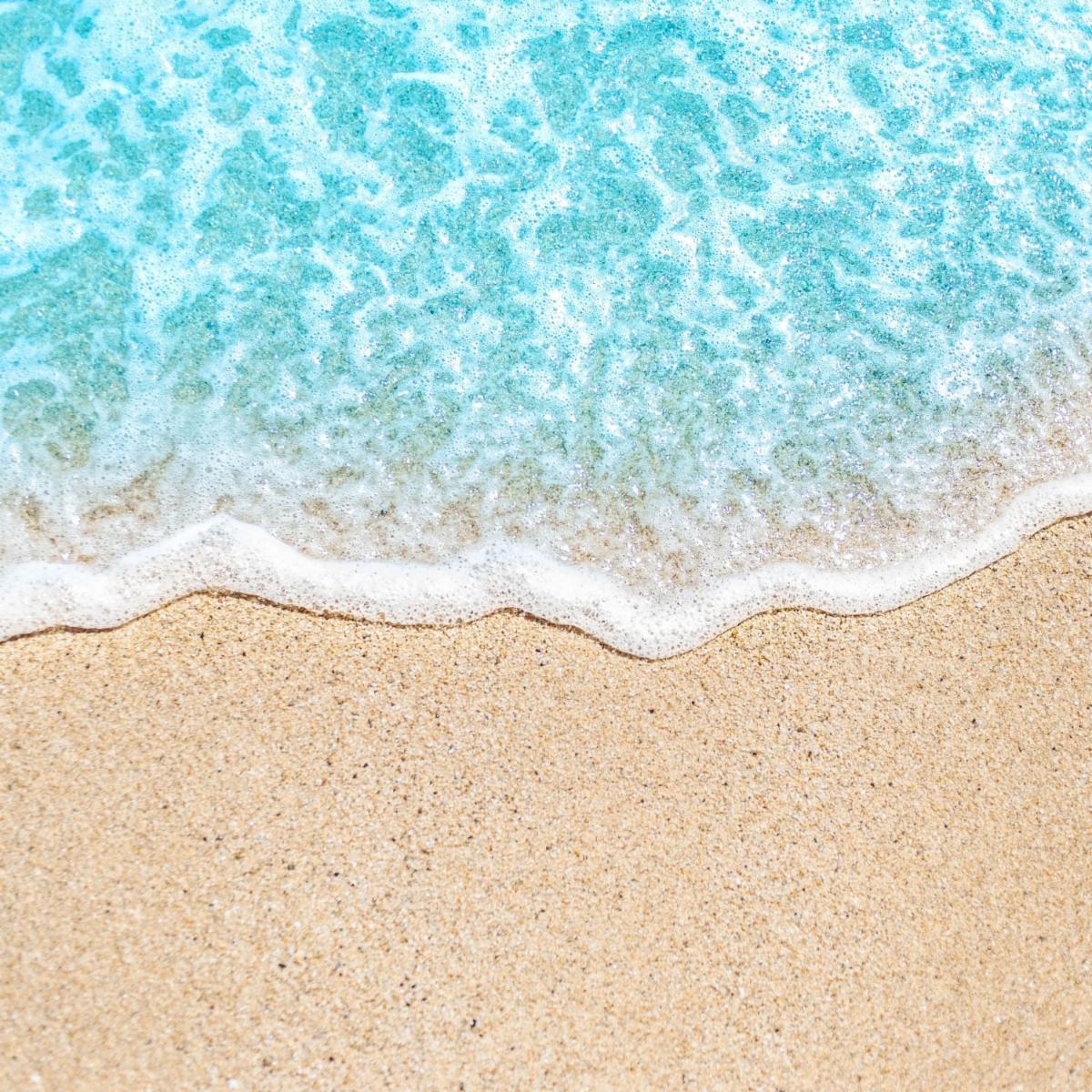 Beach ambassador needed