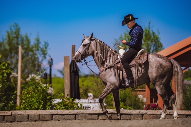 df276df5-0726-4386-96a7-423787f8b225.jpg?a=1133581196297