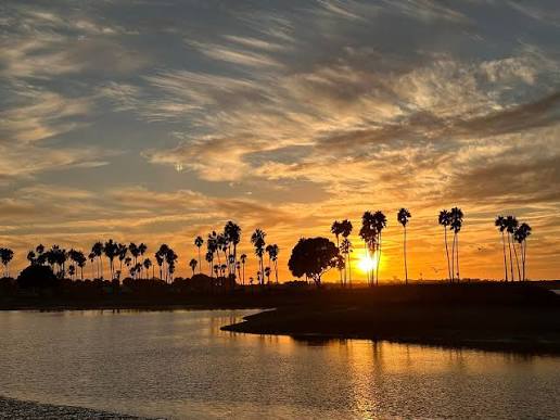 San Diego Market Report header