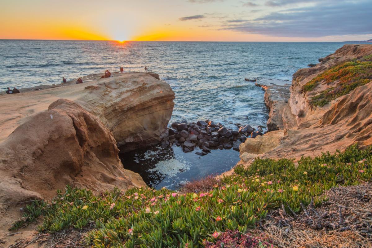 San Diego Market Report 08/05/26