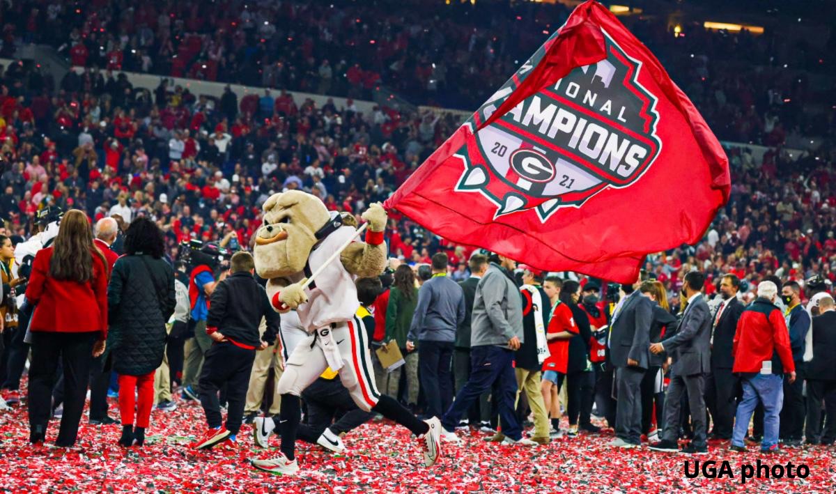 How bout them dawgs 