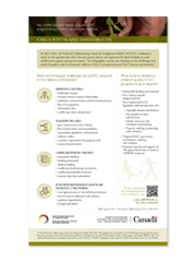 Infographic - Key challenges and needs of quality ELCC programming in First Nations communities