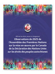 Assemblée des Premières Nations - Affirmer les droits, assurer le changement : Observations de 2025 de l’Assemblée des Premières Nations sur la mise en œuvre par le Canada de la Déclaration des Nations Unies sur les droits des peuples autochtones