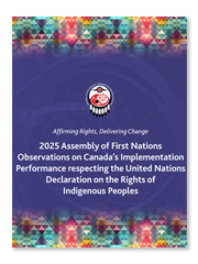 Assembly of First Nations - Affirming Rights, Delivering Change: 2025 Assembly of First Nations Observations on Canada’s Implementation Performance respecting the United Nations Declaration on the Rights of Indigenous Peoples