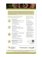 Infographie - Principales difficultés et besoins des programmes d’AGJE de qualité dans les communautés des Premières Nations