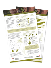 Infographie - Complexités législatives associées aux programmes d’AGJE offerts sur les réserves et aux enfants des Premières Nations