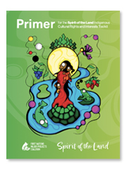 First Nations Major Projects Coalition – Primer for the Spirit of the Land Indigenous Cultural Rights and Interests Toolkit