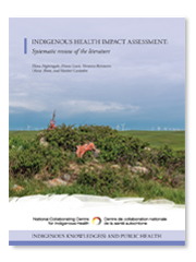 Report - Indigenous health impact assessment: Systematic review of the literature
