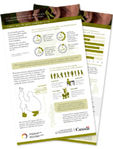 Infographic - ELCC legislative complexities for on-reserve early childhood programs and First Nations children