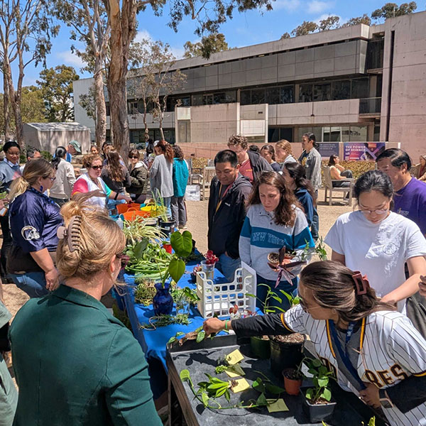 Salk plant swap