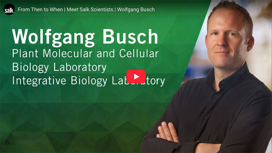 From Then to When - Wolfgang Busch