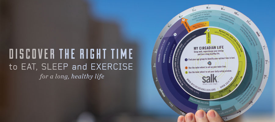 Discover the right time to eat, sleep and exercise for a long, healthy life