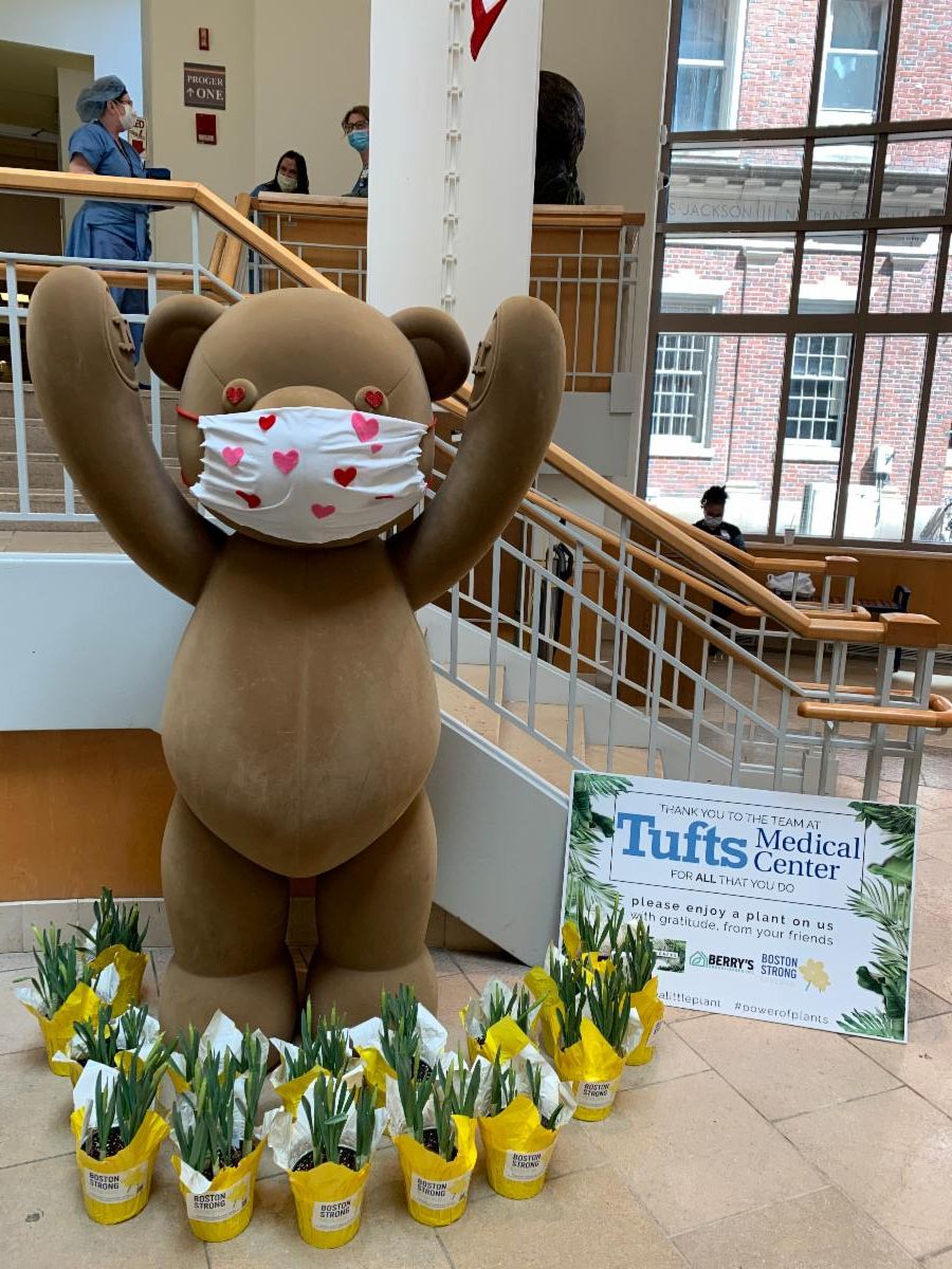 The Tufts Medical bear surrounded by flowers