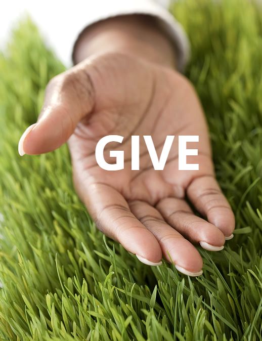 donation_palm.jpg