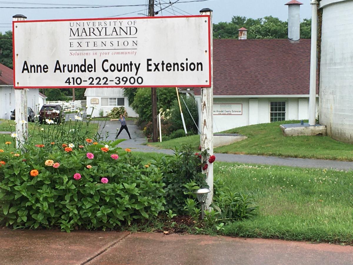 Anne Arundel County UME News