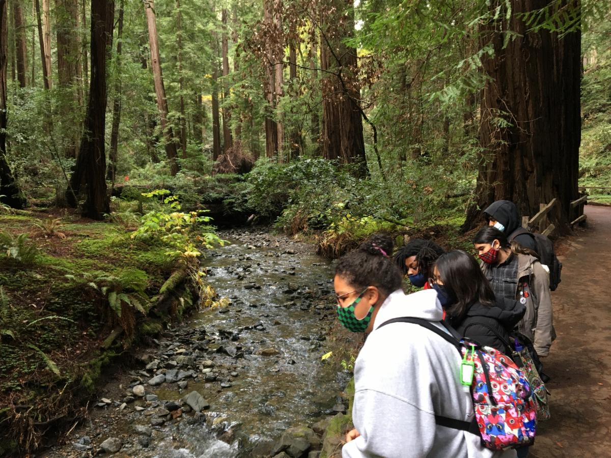 Watershed Basins of Relations Training Program