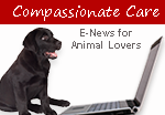 Compassionate Care