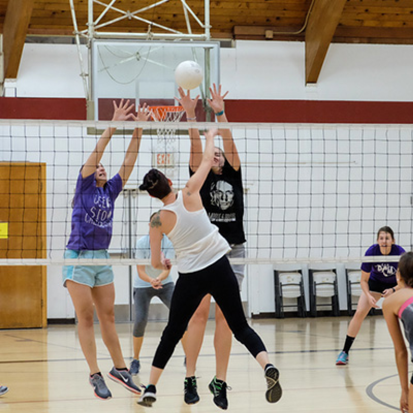 Adult Volleyball.png