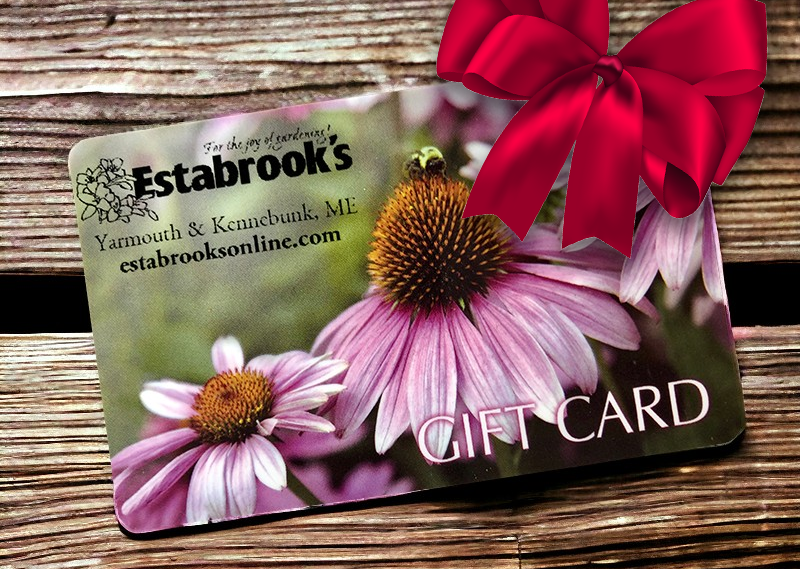 Garden Newsletter #1068 - Save 15-40% OFF with Our Holiday Bargains!