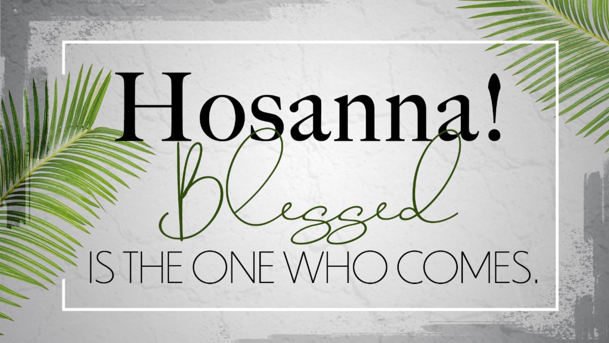 Palm Sunday blessed