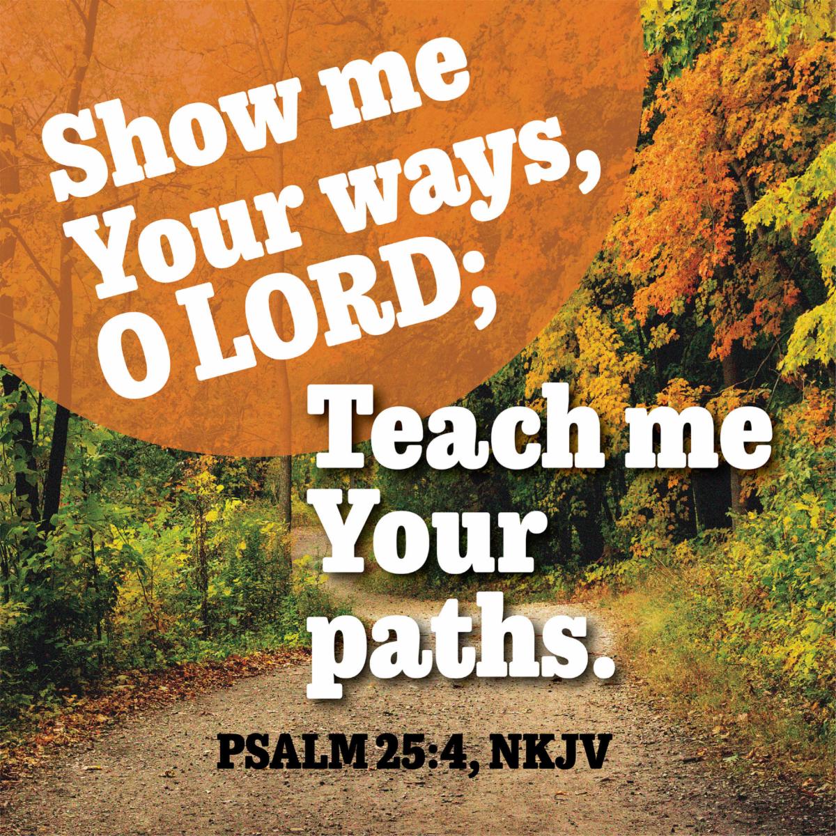 Show me your ways O Lord