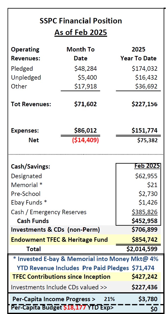 Feb 2025 financials