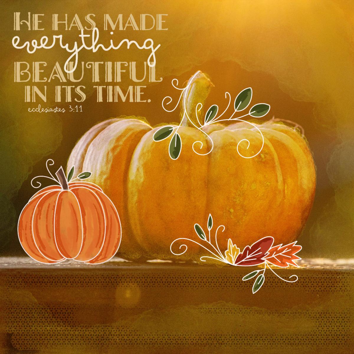 Let us give thanks