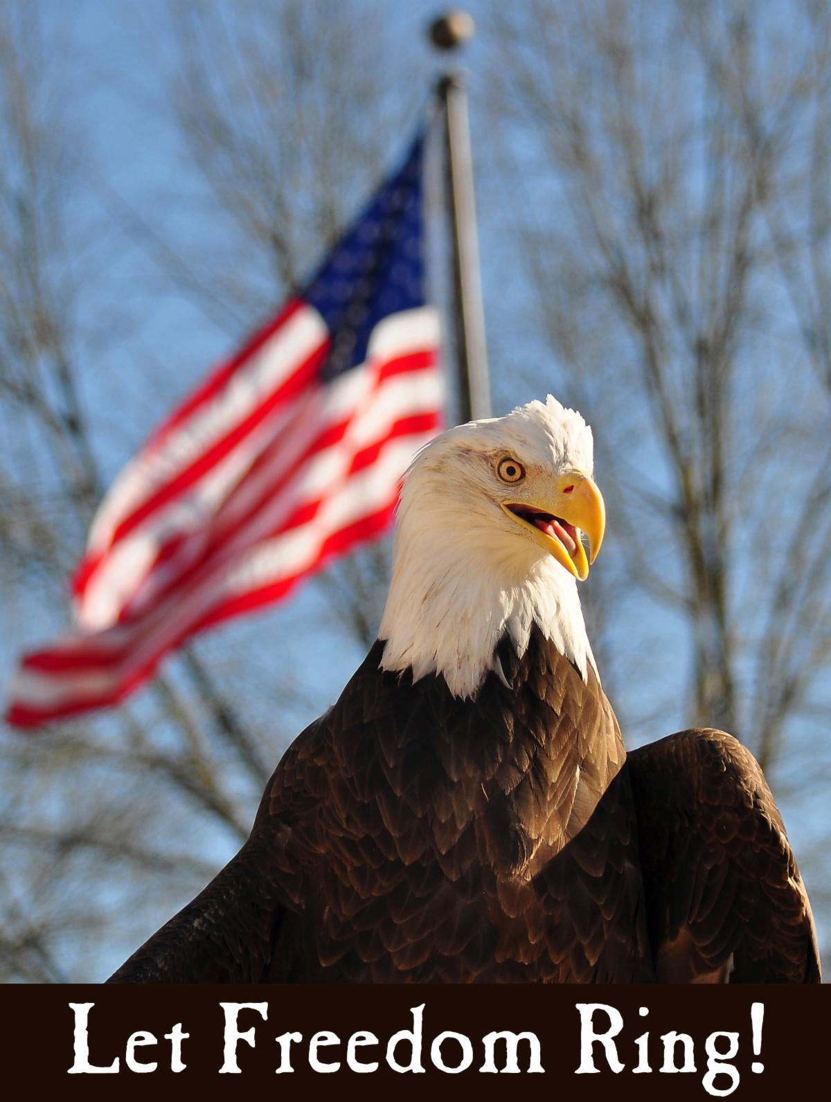 Eagle and flag
