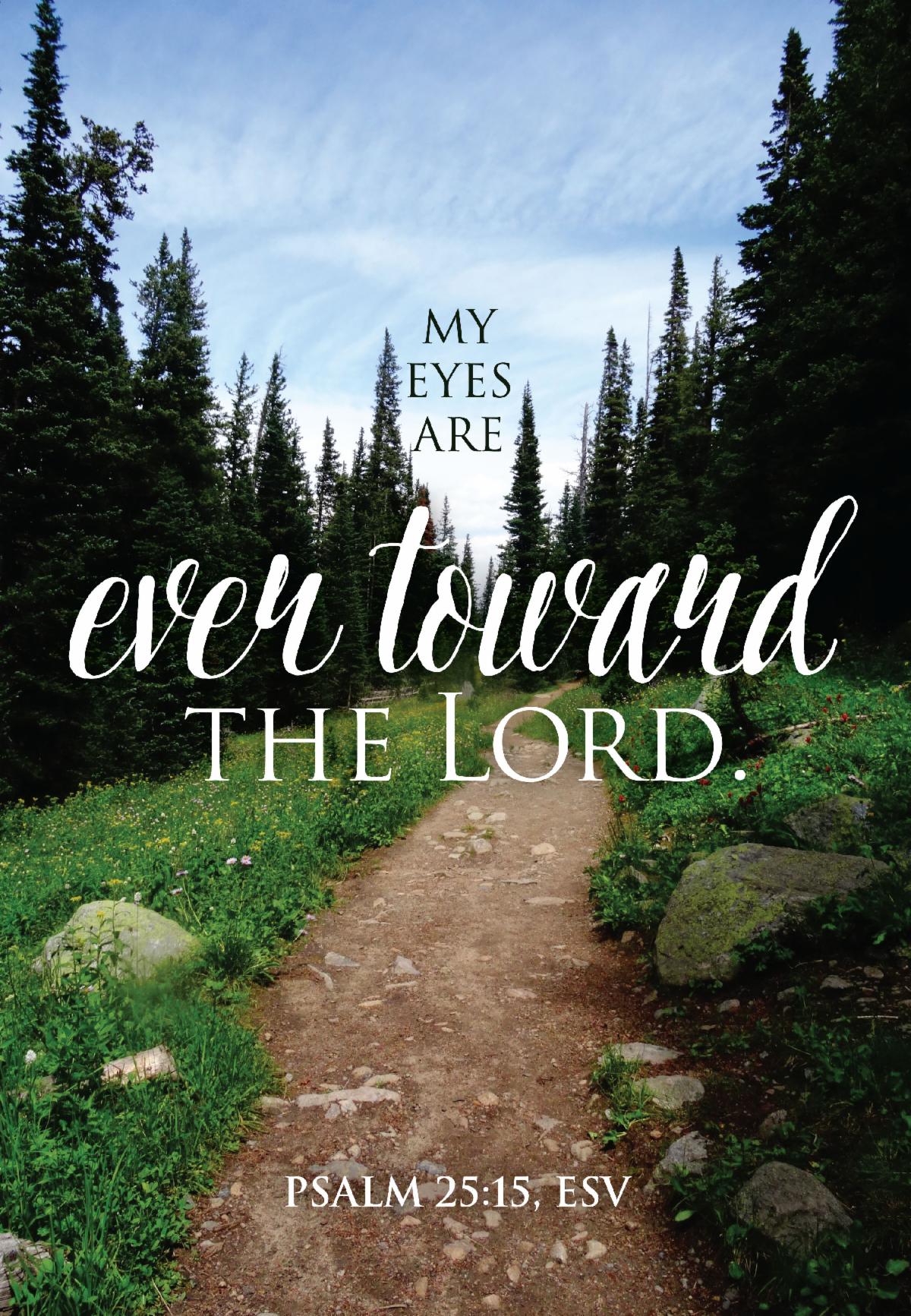 Eyes are on the Lord