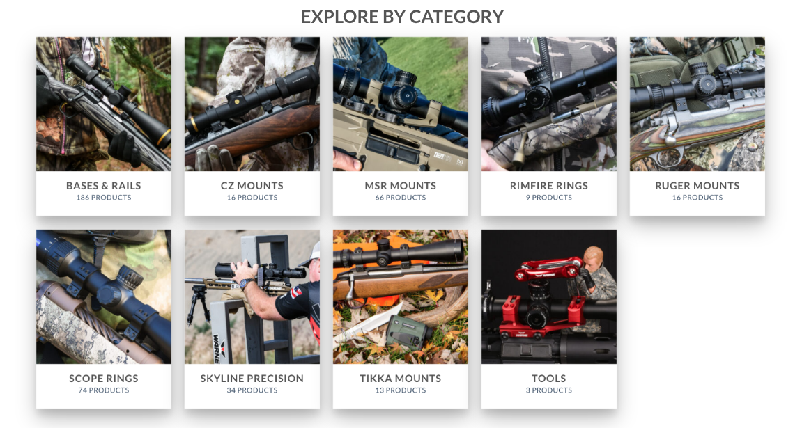 Warne Website Options