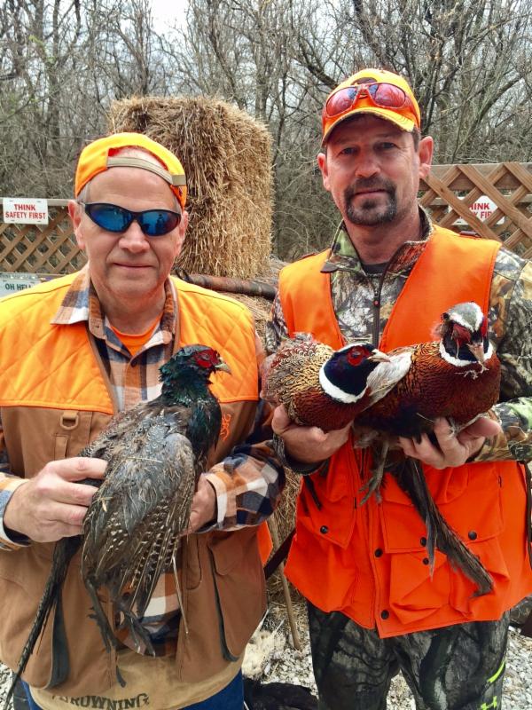 COF Guided Kansas Pheasant Hunt