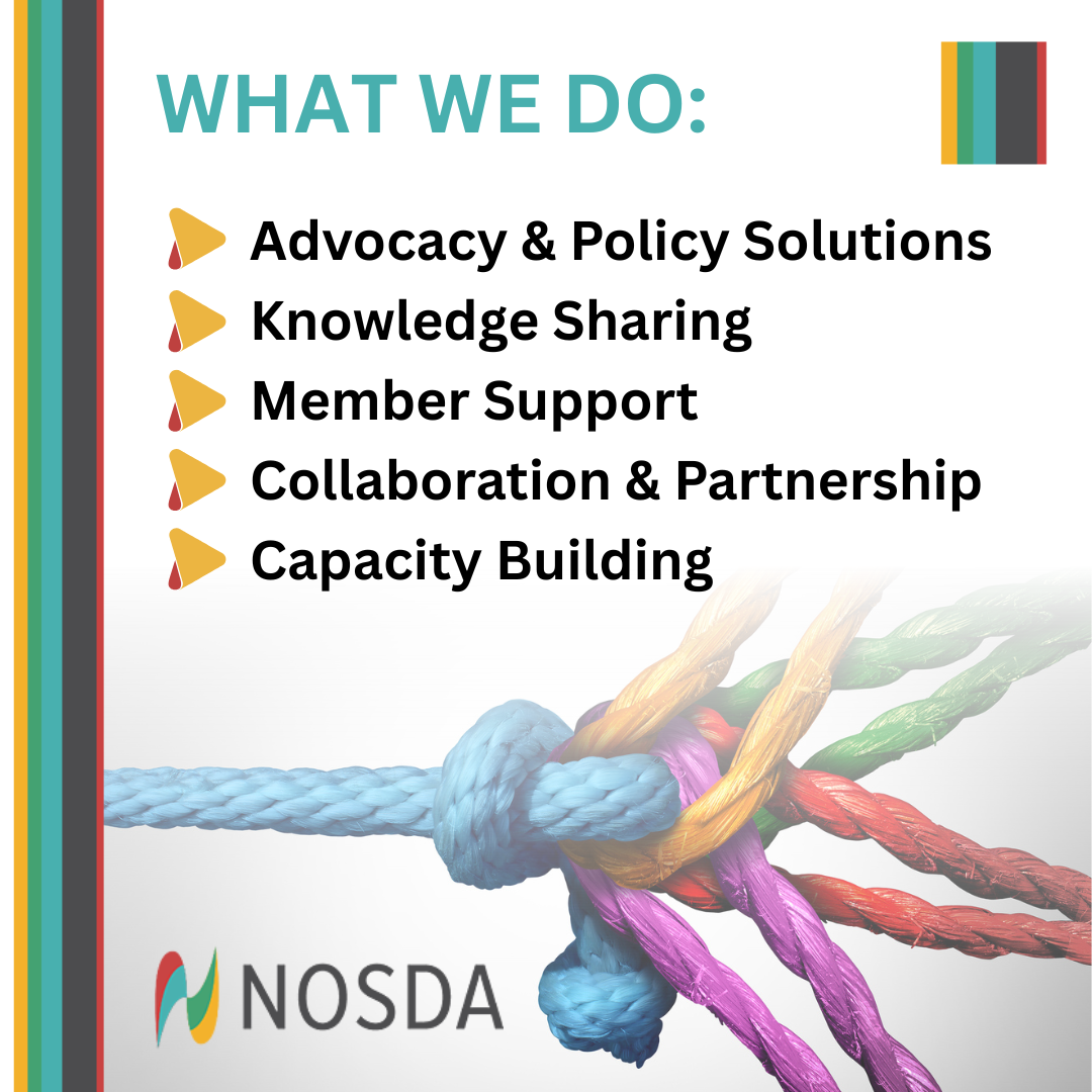 Nosda The latest news from NOSDA