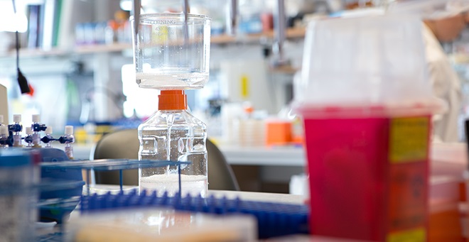 Photo of science lab equipment