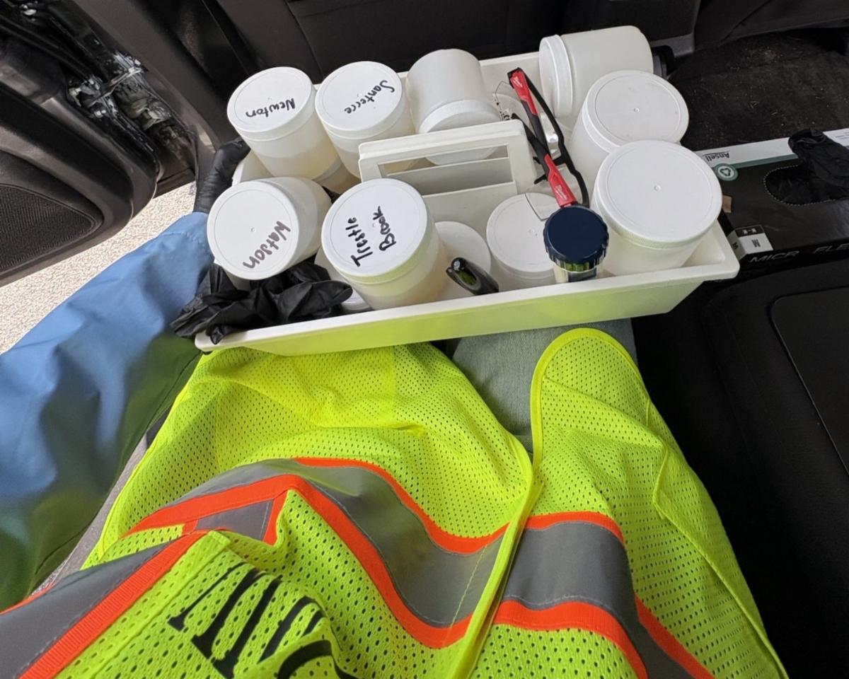 water quality samples