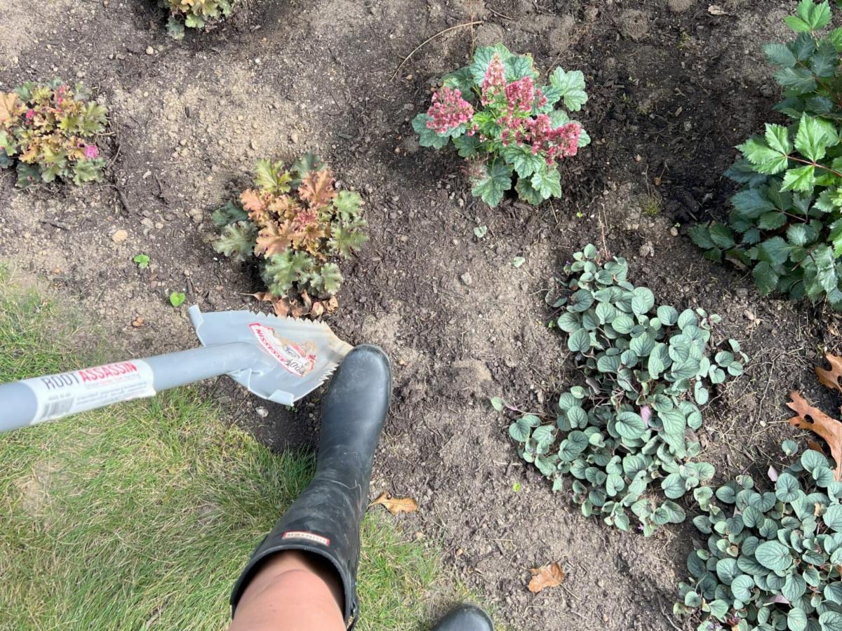 Long Island Garden Rewards Program.