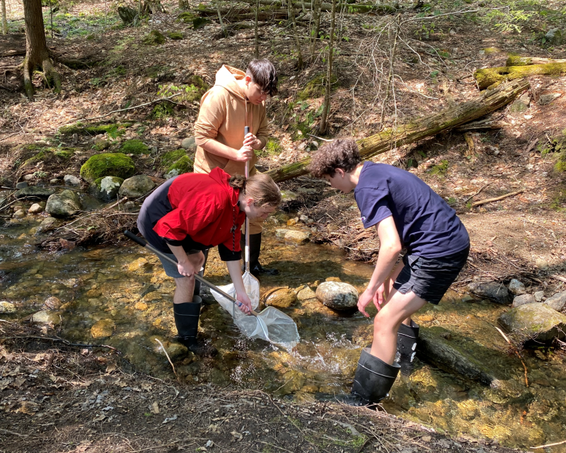 Youth explore a stream using nets.
