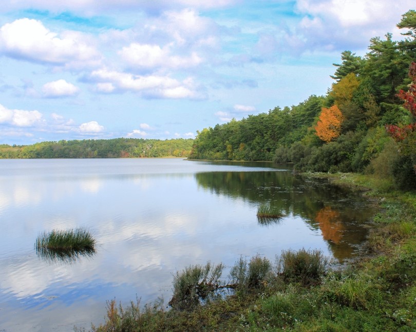 Lake in summer.