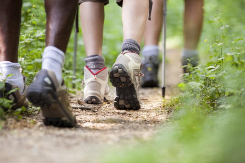 trekking_in_woods.jpg