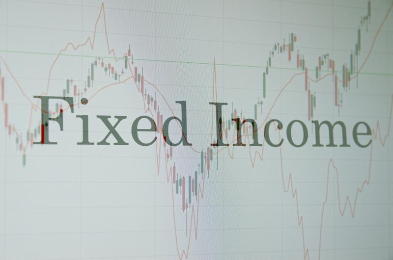 Inscription  Fixed income  on PC screen. Financial concept.