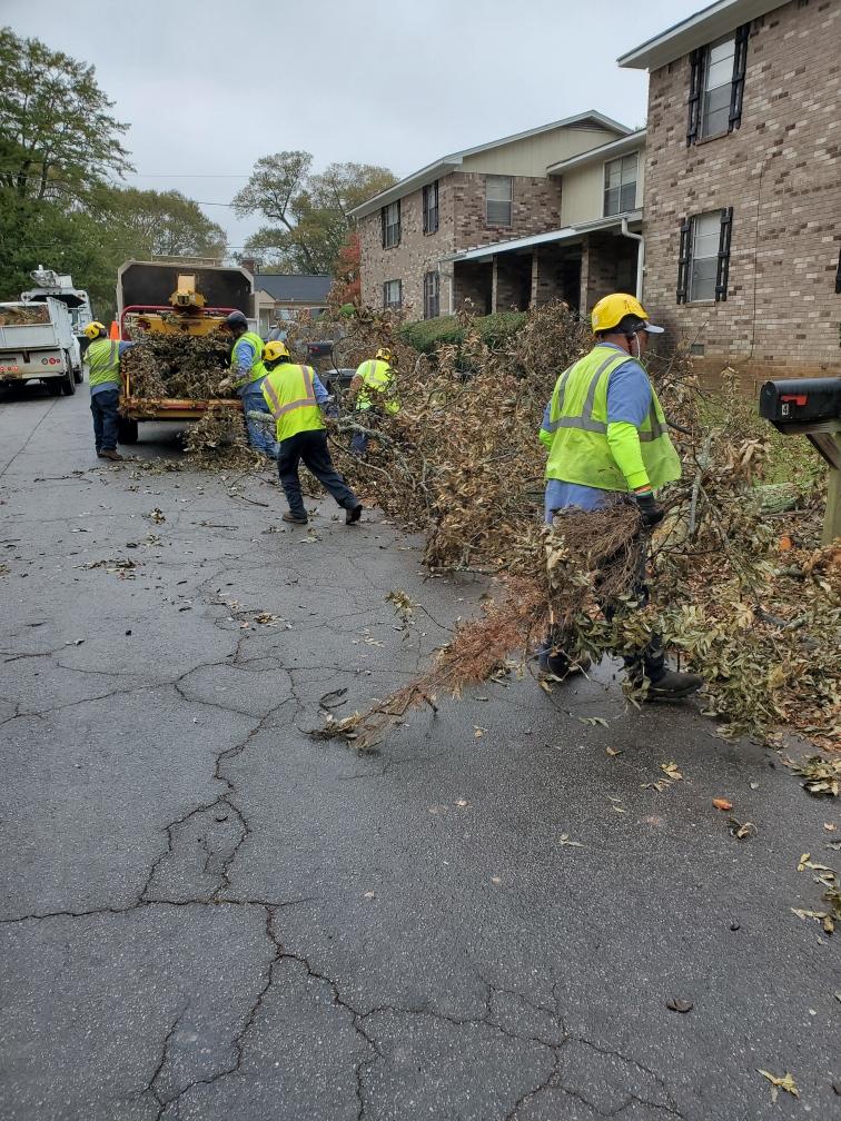 VERGE Newsletter December 2020