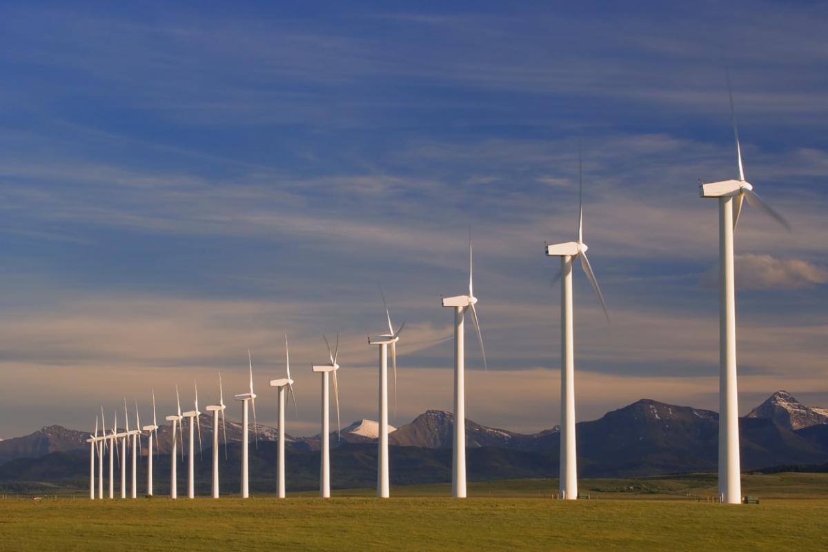 wind_farm.jpg